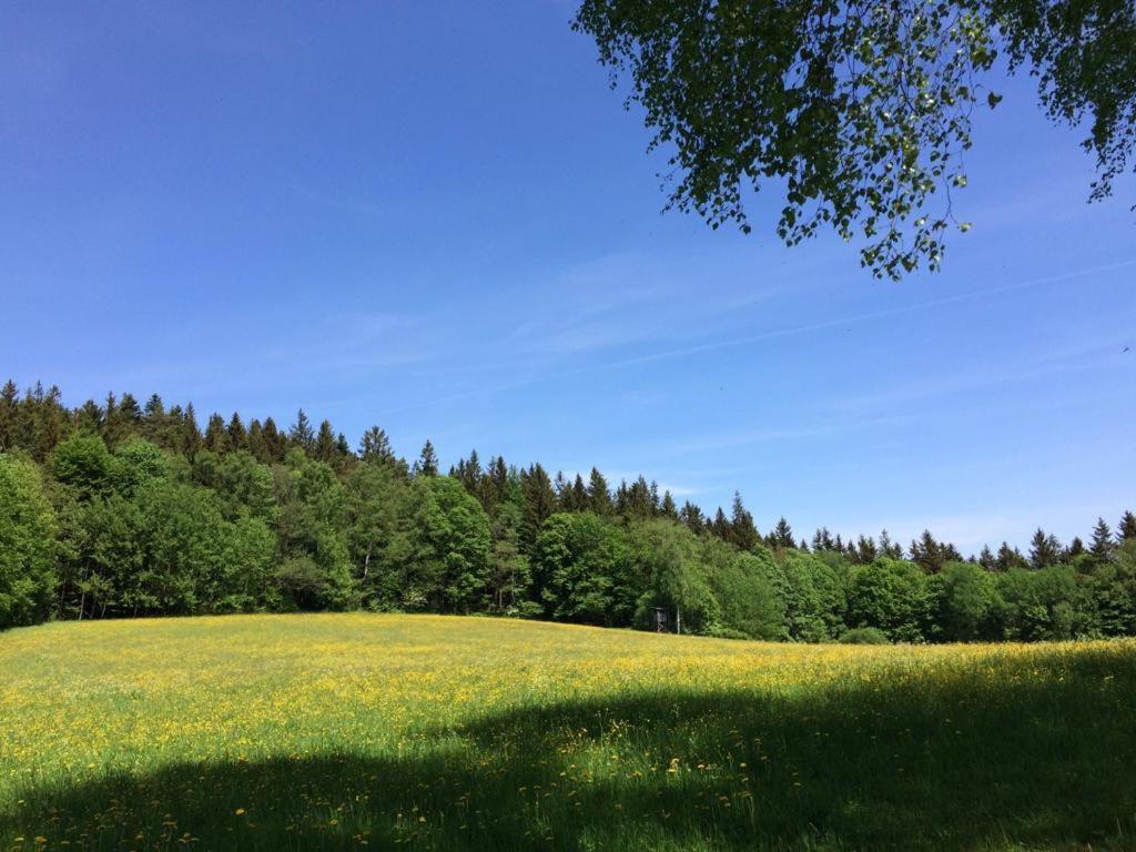 Ferienwohnung Gut Eschlsaign Аррах Экстерьер фото