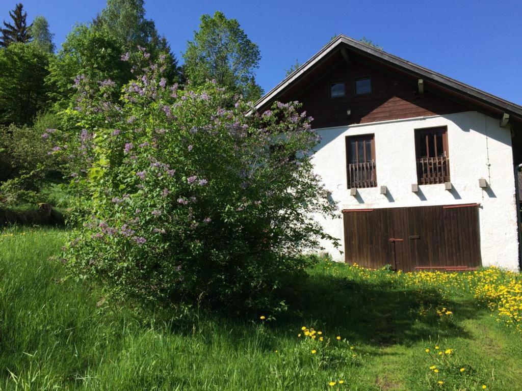 Ferienwohnung Gut Eschlsaign Аррах Экстерьер фото